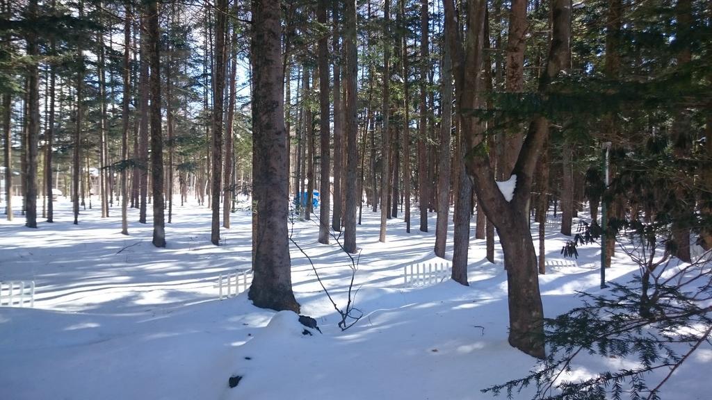 Pension Candytuft Каруидзава Екстериор снимка